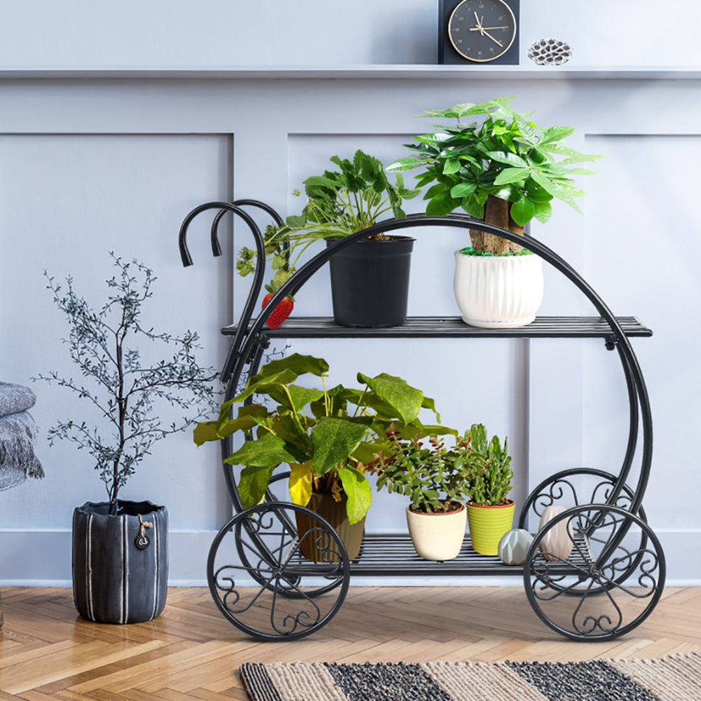 Plant Décor